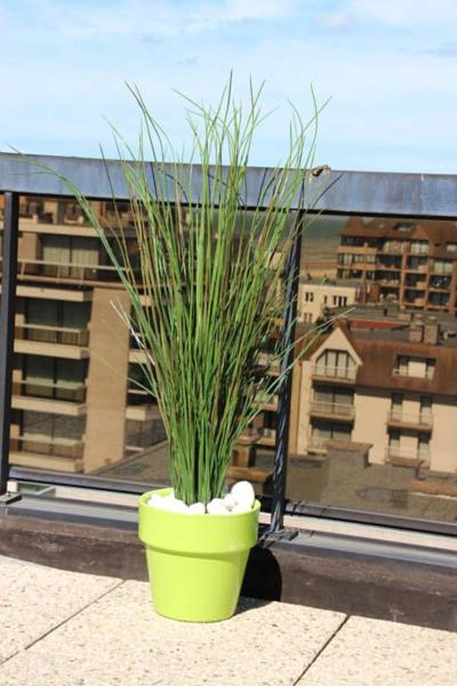 Duplex Penthouse Plaza *